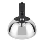 Превью картинка Чайник Maunfeld MF113B30KT #4