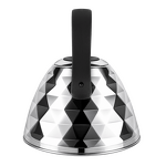 Превью картинка Чайник Maunfeld MF116F30KT #4