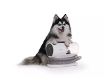 Превью картинка Haier PetPure M Pro #7