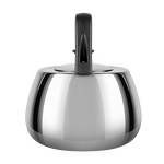 Превью картинка Чайник Maunfeld MF115M25KT #5