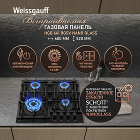 Картинка Weissgauff HGG 641 BGSV Nano Glass
