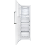 Превью картинка Камера морозильная HIBERG i-FR 40 W #4