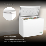 Превью картинка Ларь морозильный  Hyundai CH25031 #6